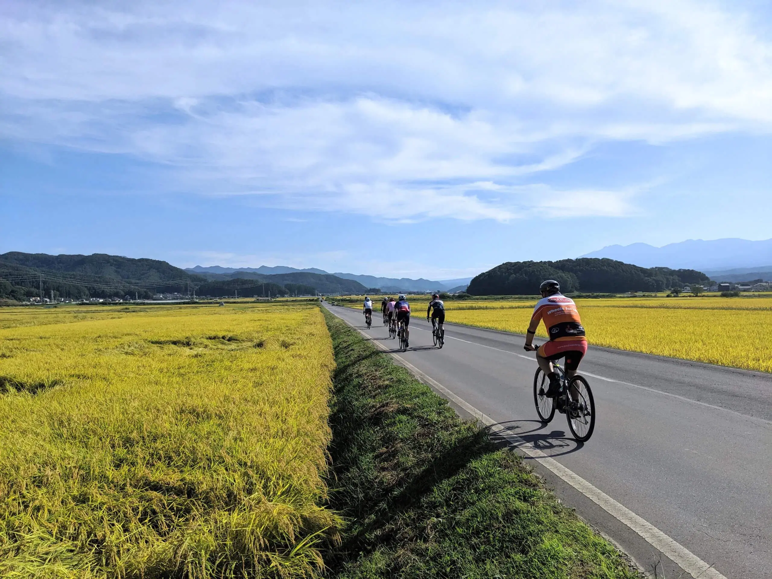 The day after a typhoon is often the best of the year! The day after a typhoon is often the best of the year!