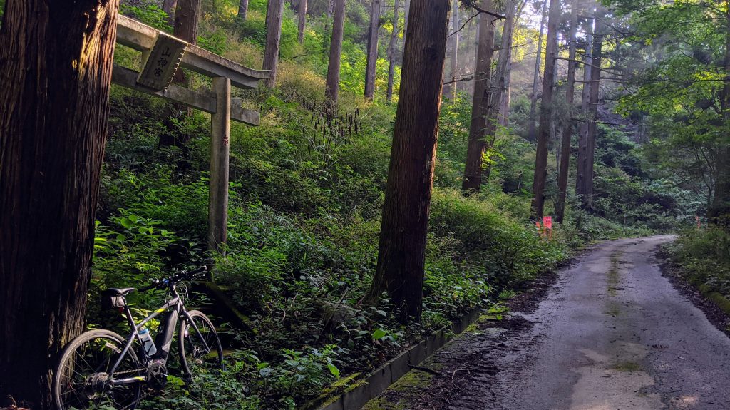 Yamaha Cross Core E-Bike in the morning komorebi along a Japanese forest road.