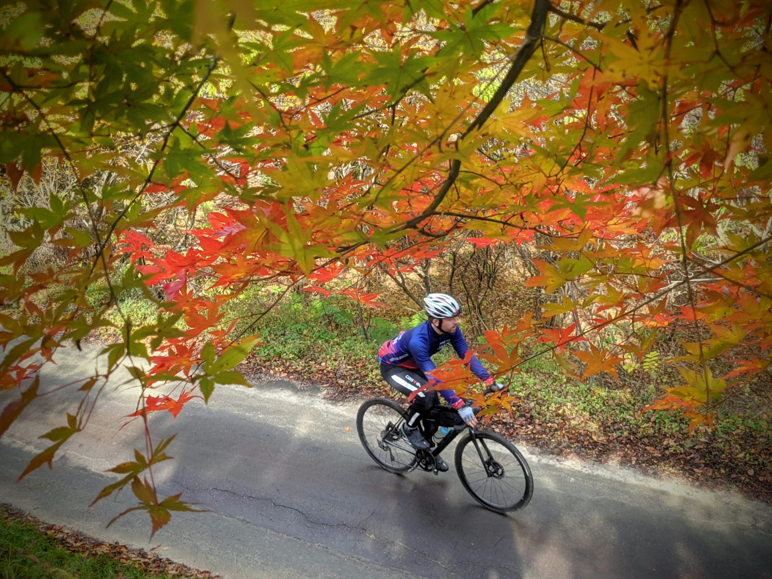 Road Cycling Autumn Nikko North Alps Tour Historic Towns And Hot