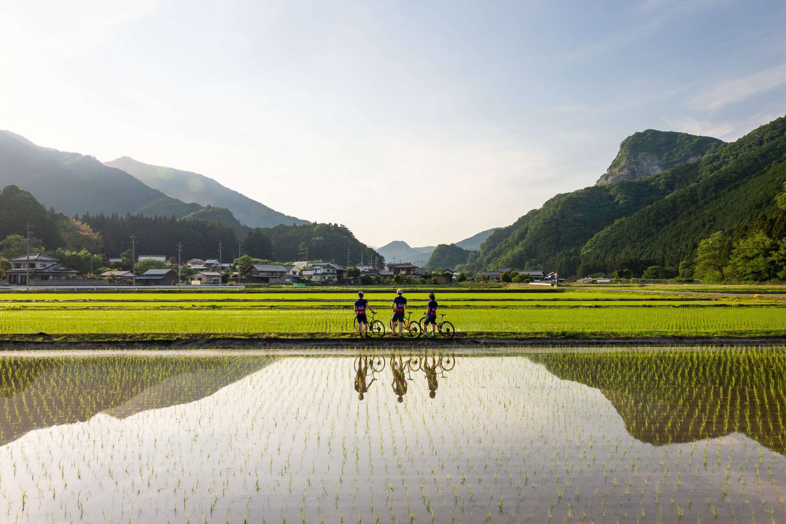 Rice field version-1