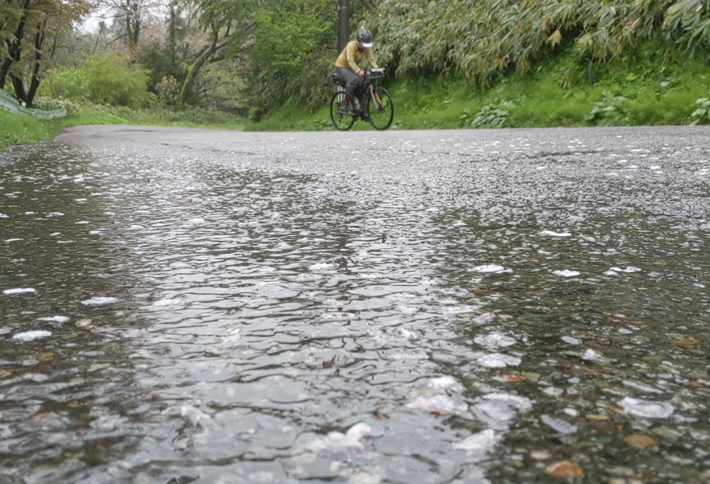 Rainy Ishikawa Prefecture